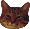 /tarrien/Mastodon/raw/commit/eee2b05ea29b924c00d6b86e39e68242ad06caa6/spec/fixtures/files/emojo.png